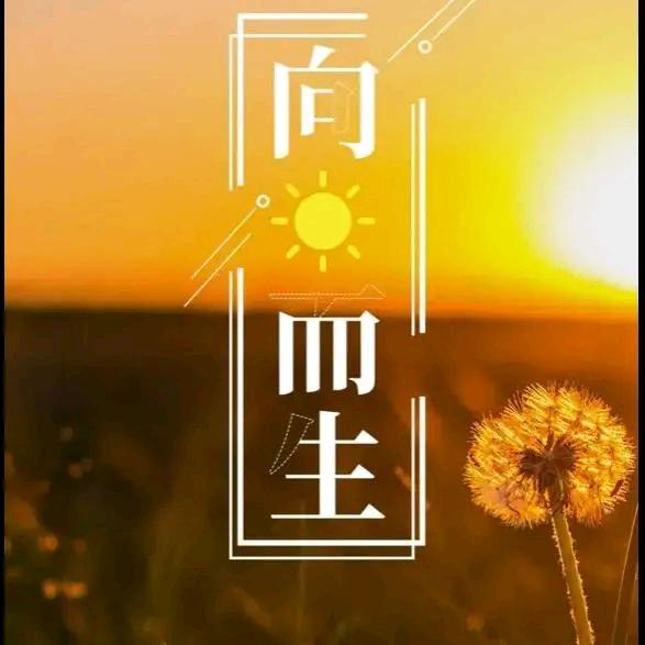 臻萃凝时