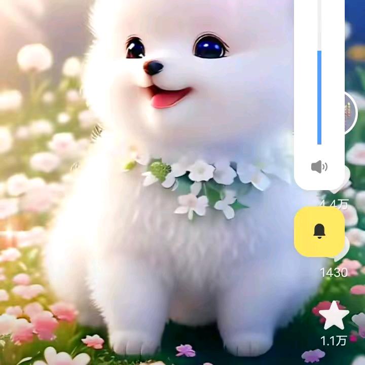 快乐   一生