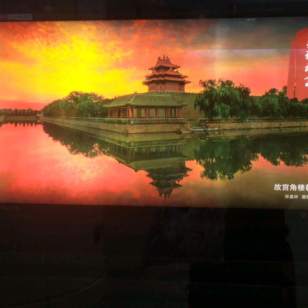 向日葵