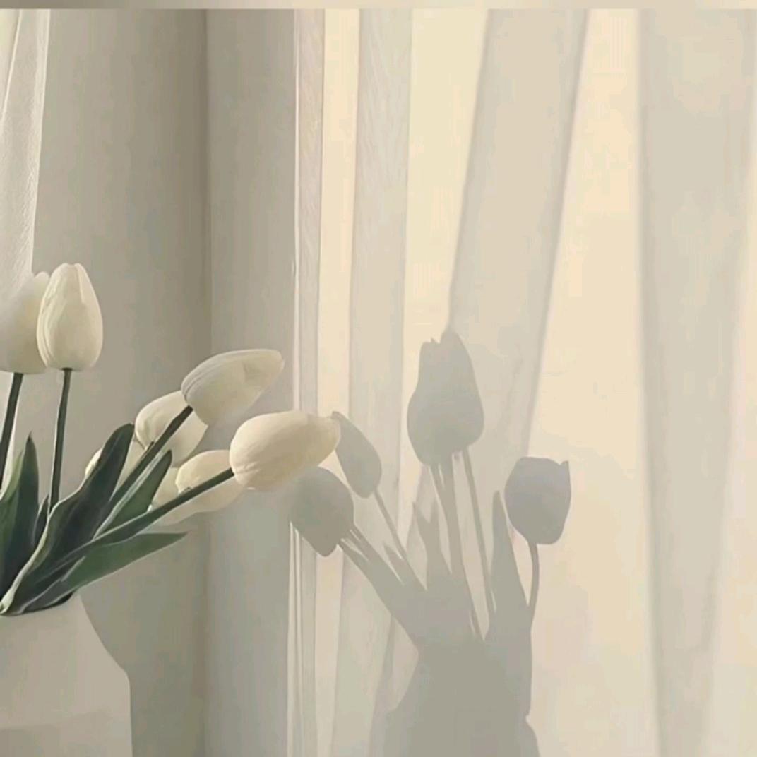 .满满