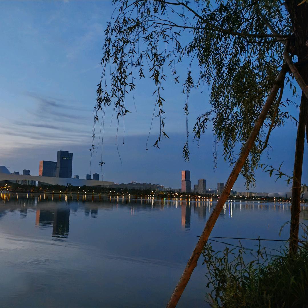 🐲 亮💥 哥💥 ⚡