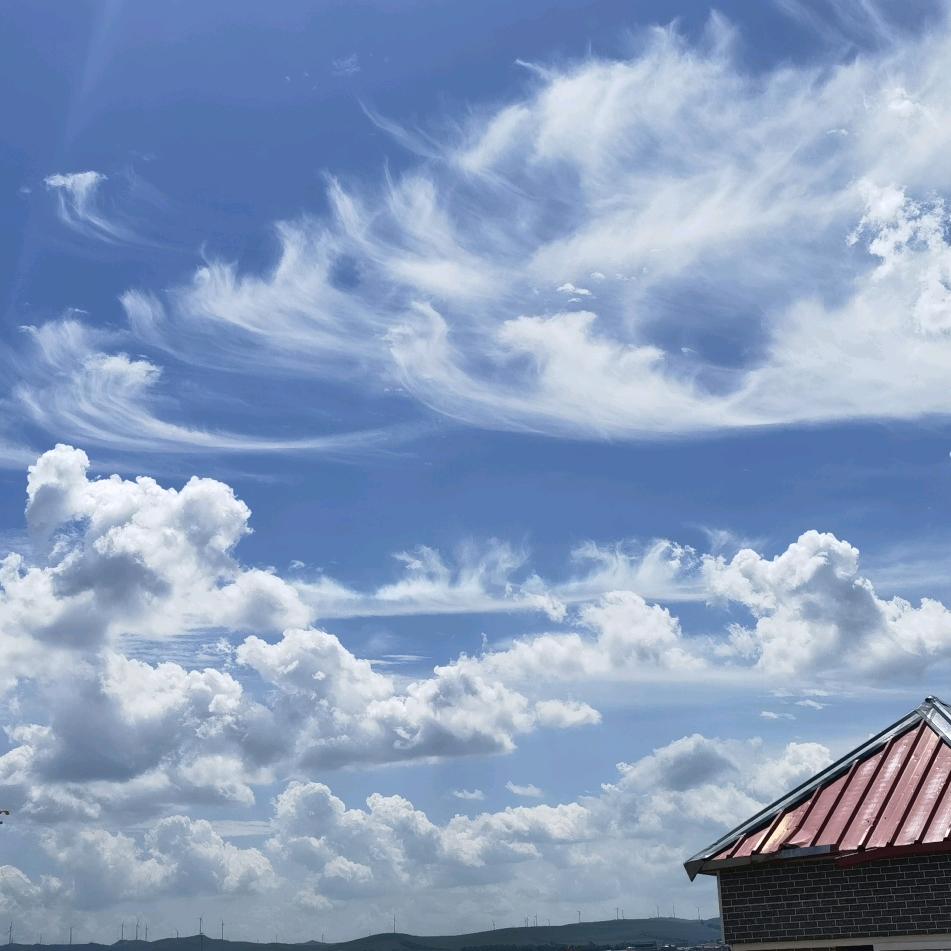 暗香浮动月黄昏🌙