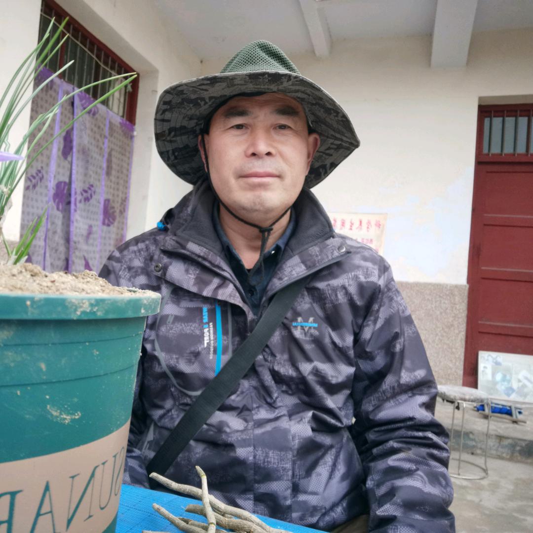 西部凡陈