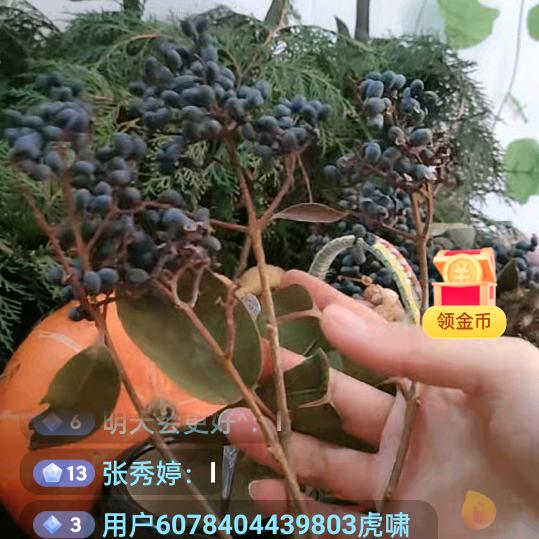 白雪