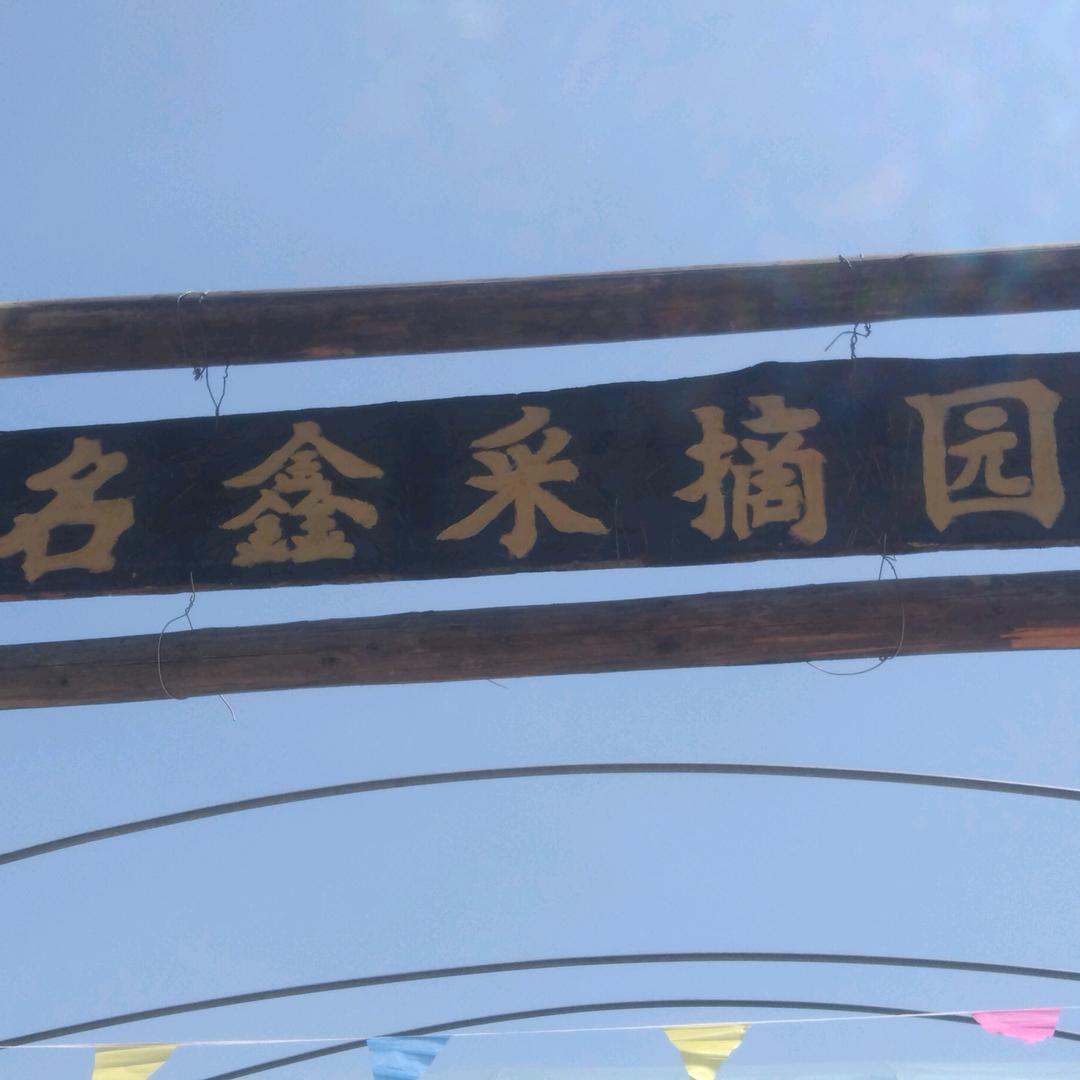 连云港赣榆城头名鑫 采摘园