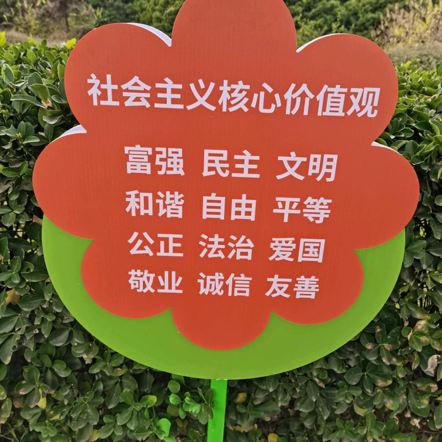 用户55869083