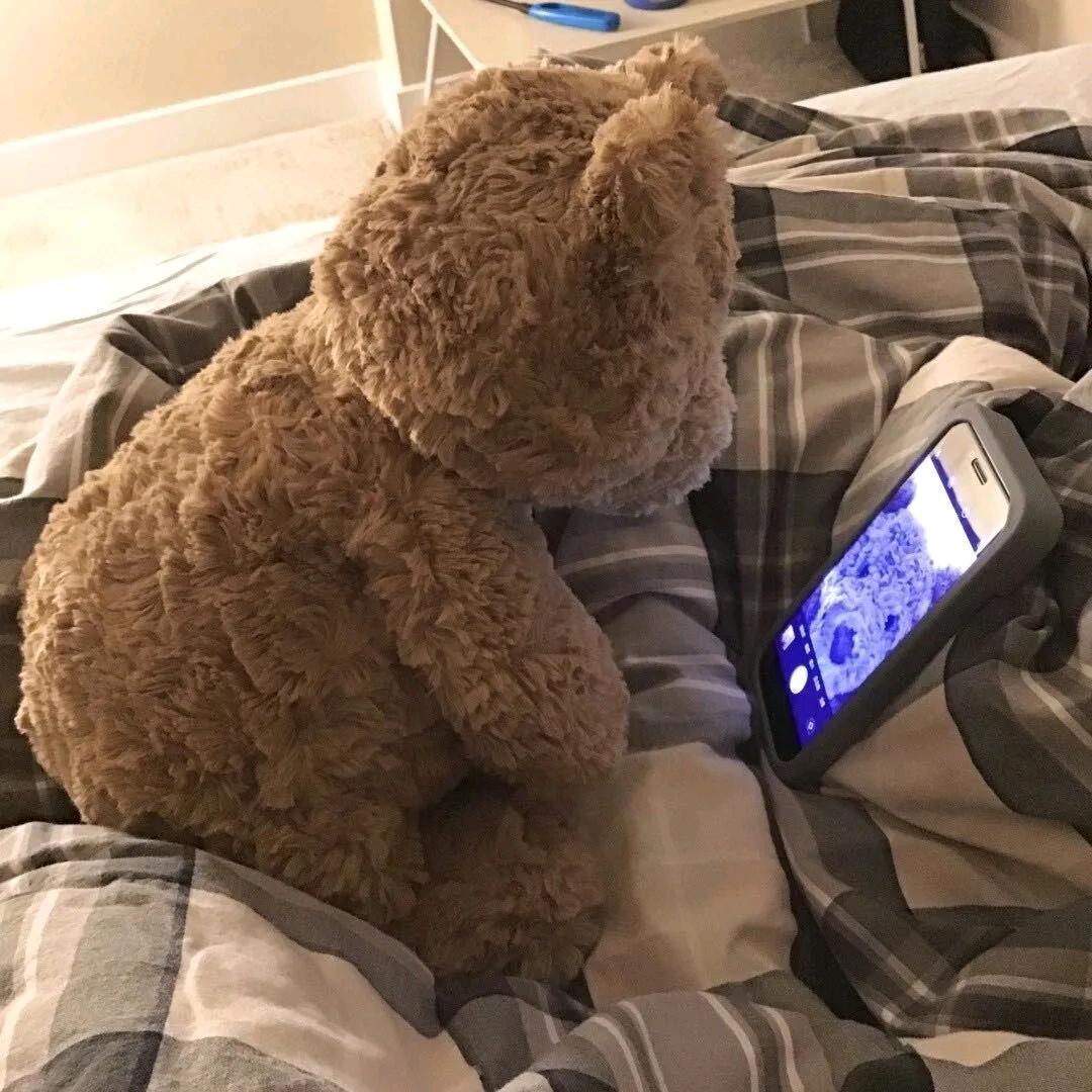 是我的小熊丢了(接代写版）