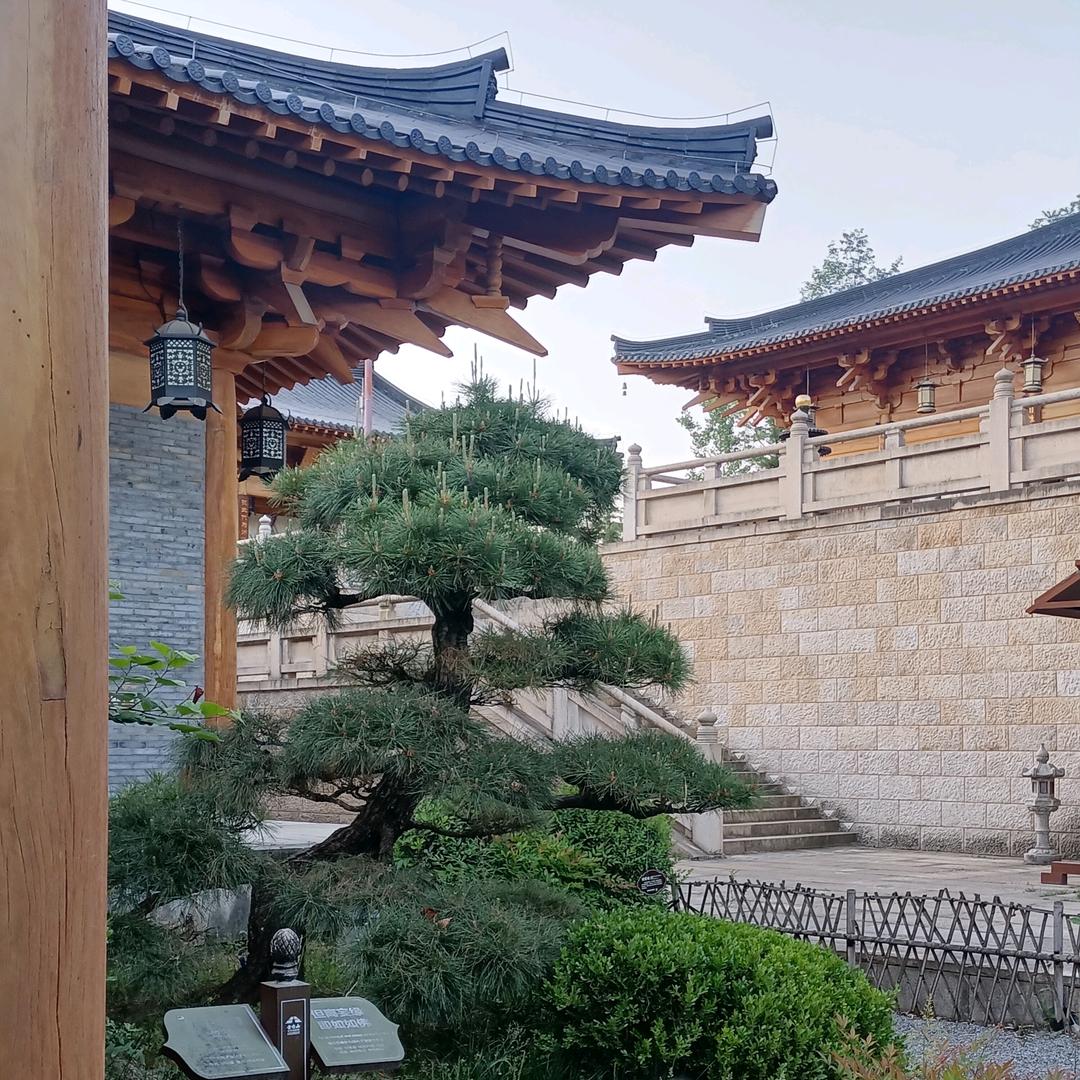 老陈，感谢抖音平台，传播正能量，