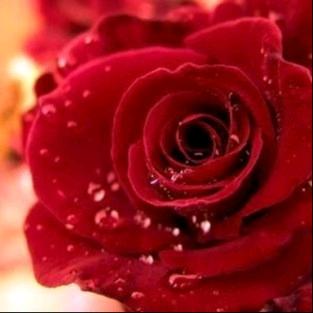 ℳঞ一世无悔 ໌້ᮨ꧔ꦿ᭄