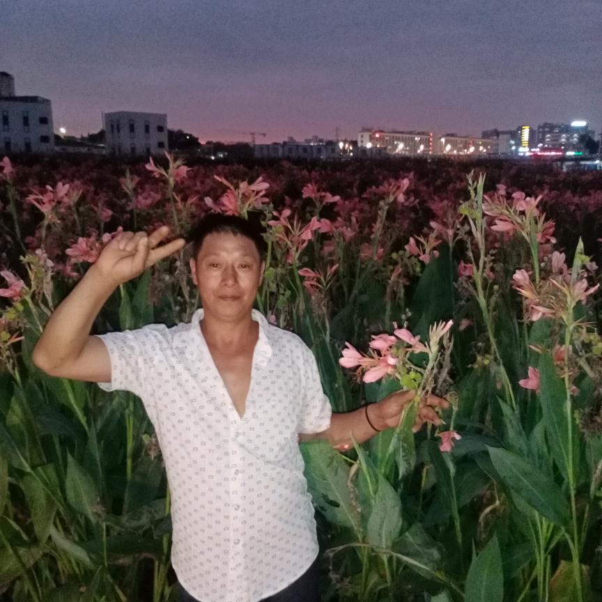 永久相爱陈光东