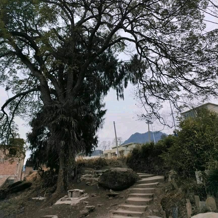 美食美客手机摄影