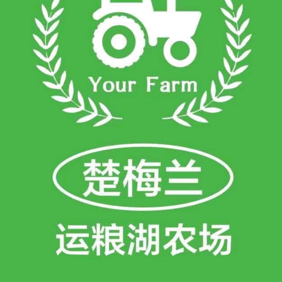 楚梅兰种业