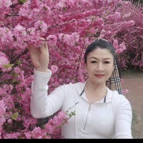 阿丽wqyy