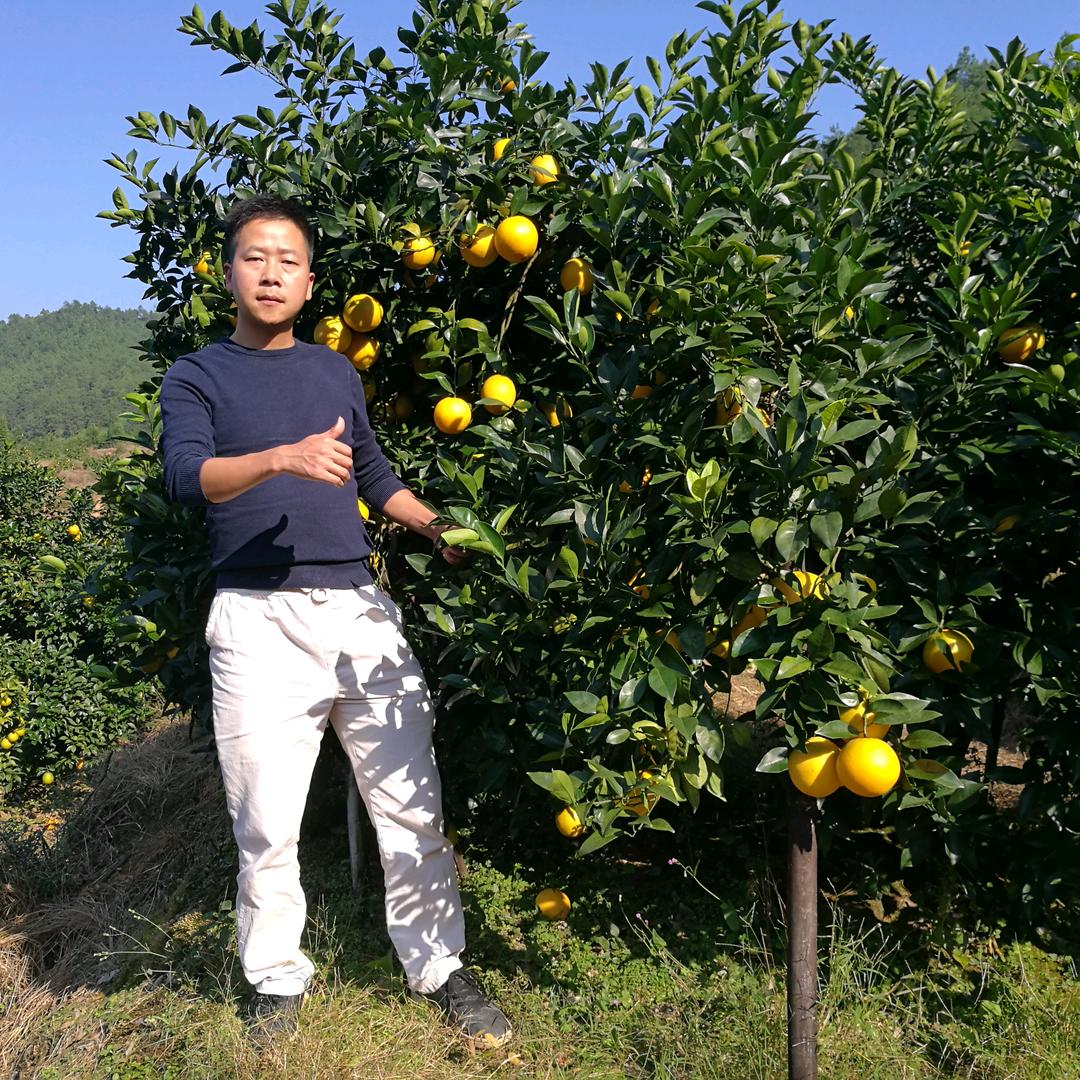 小康-橙子哥