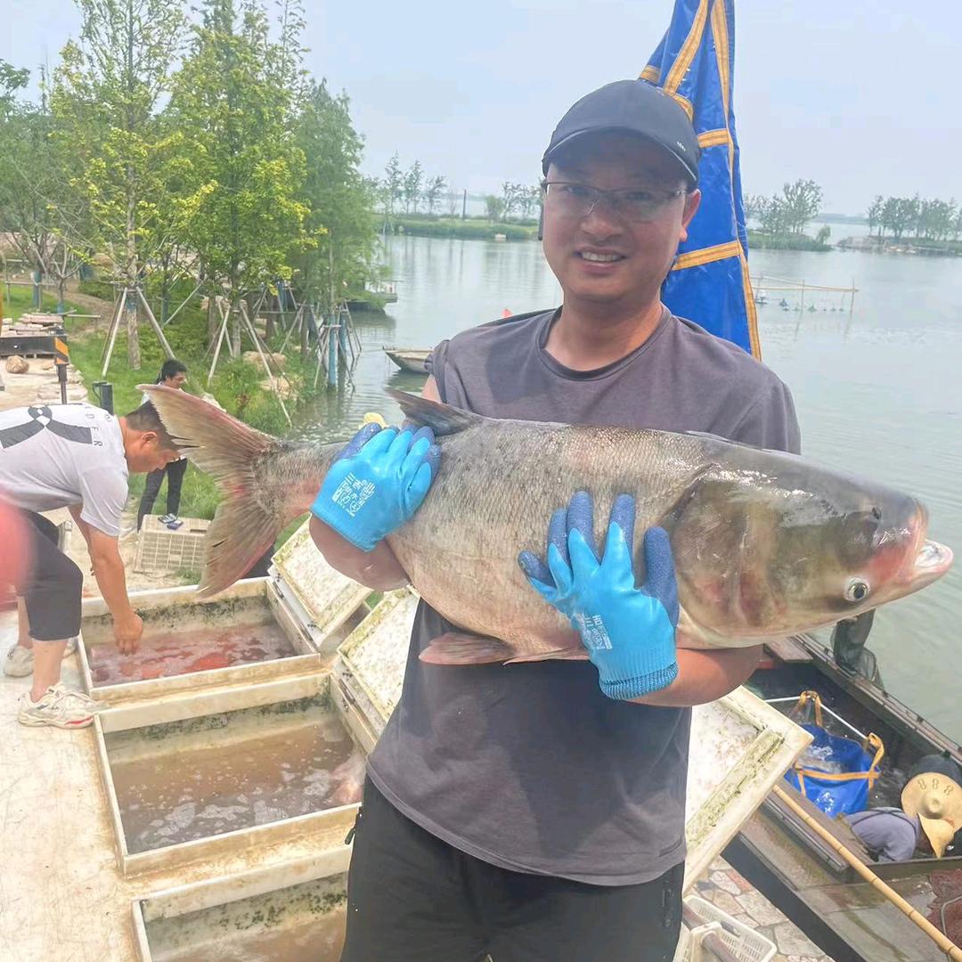 太仓高尔夫垂钓@太仓高尔夫