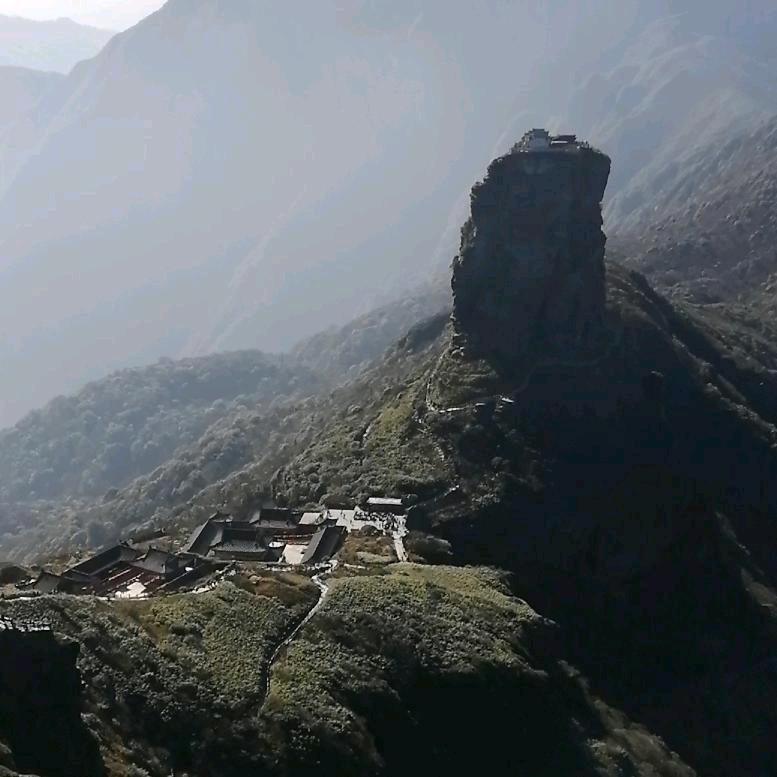 yanglinjin