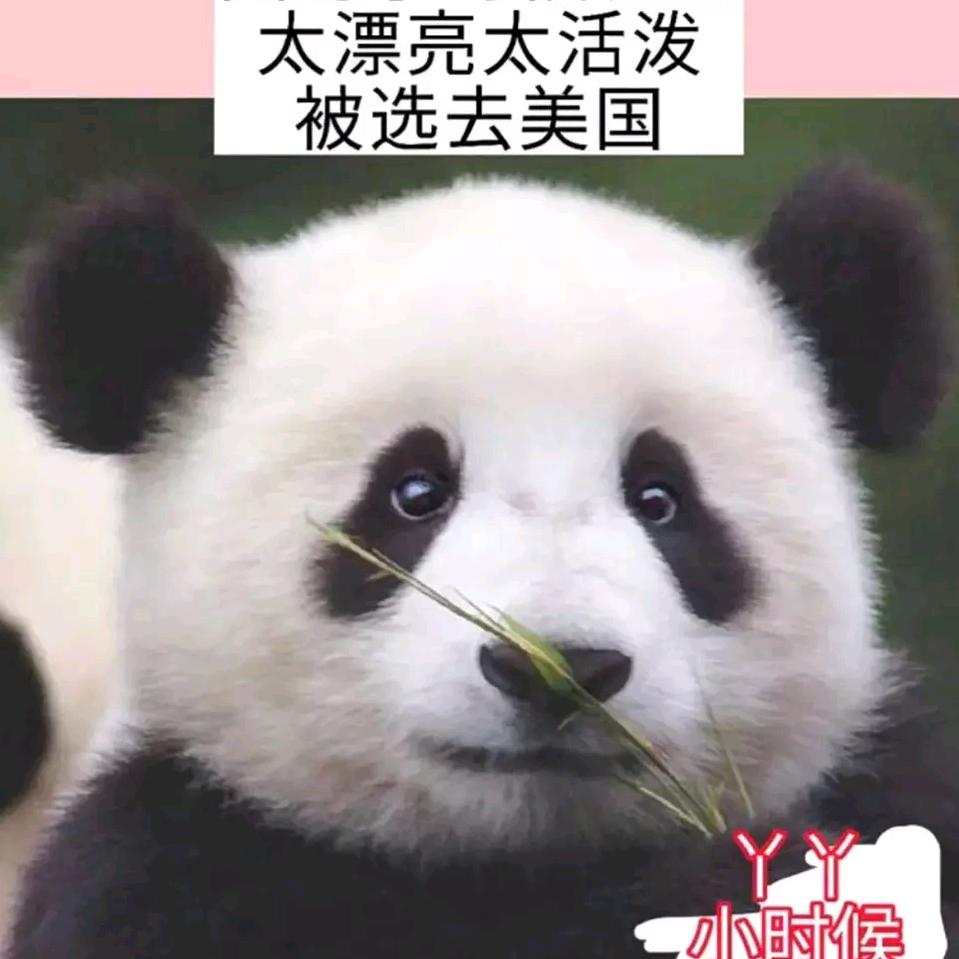 🌈丫丫~爱读书