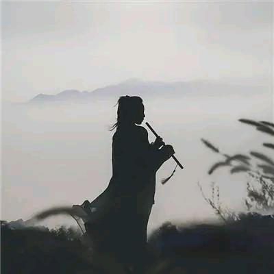 肖珠金厢味干诗花