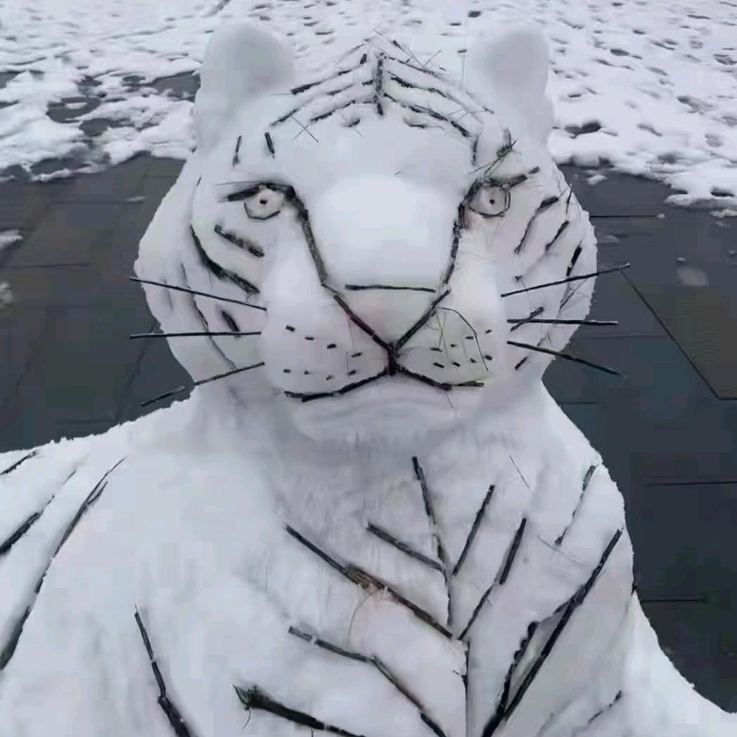 昆明全城送沙石水泥大小拆除1338874