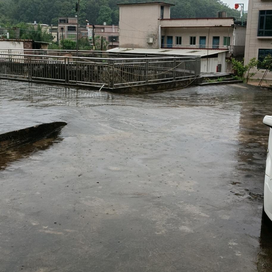 海马