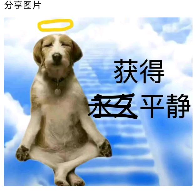 月夜之霖头像