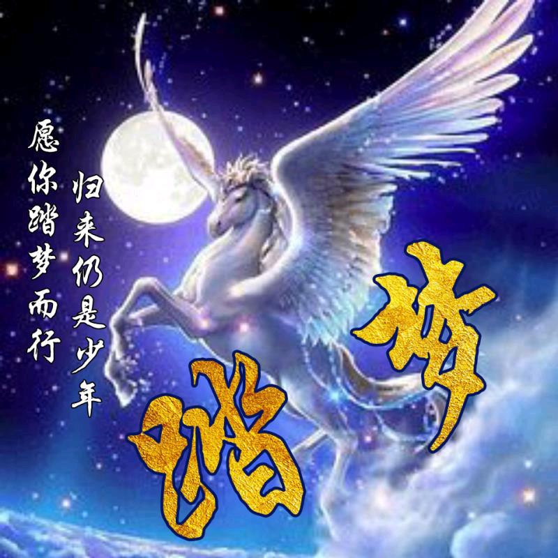 踏梦
