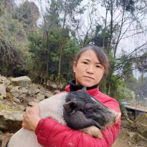 坚毅农场
