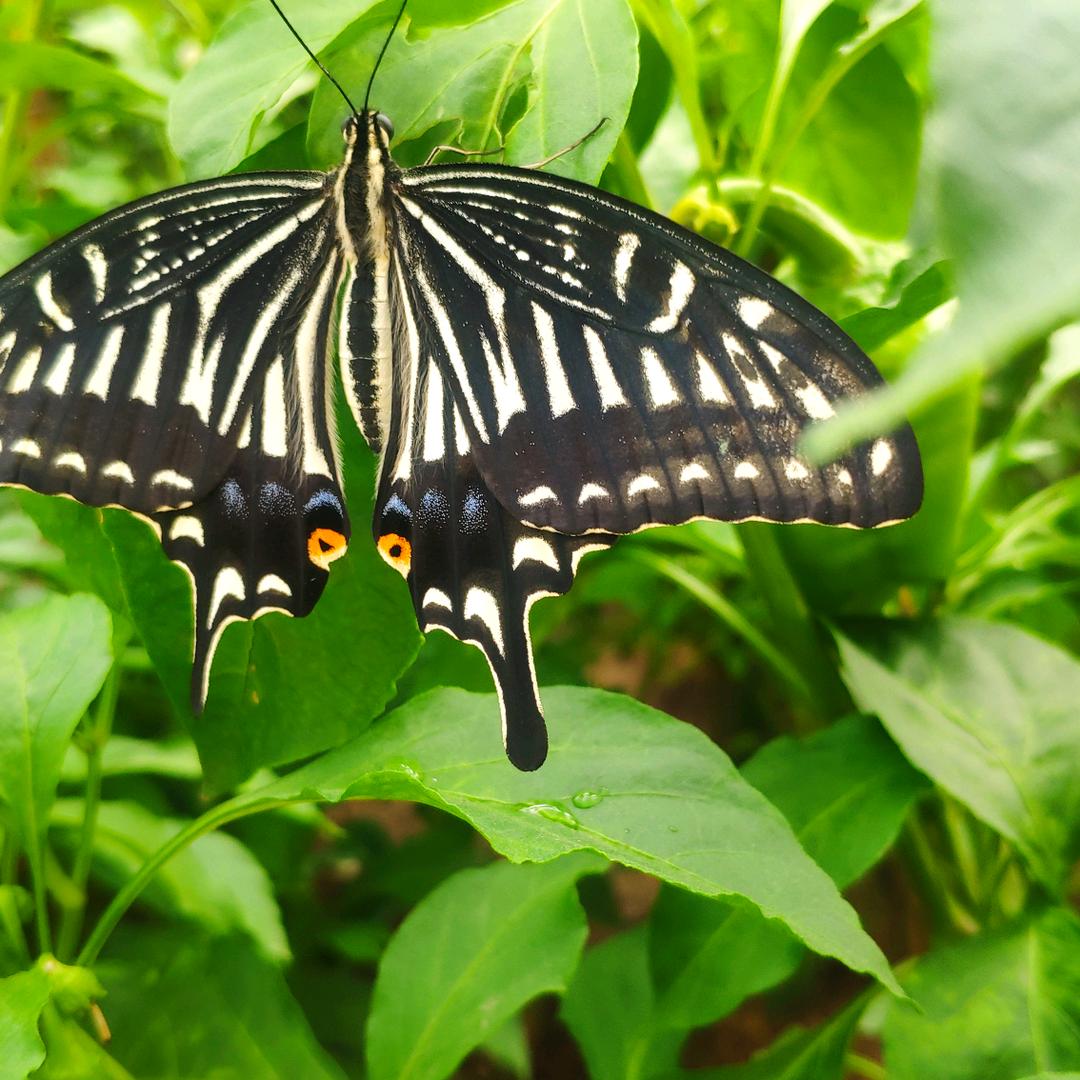 开心就好快乐开心