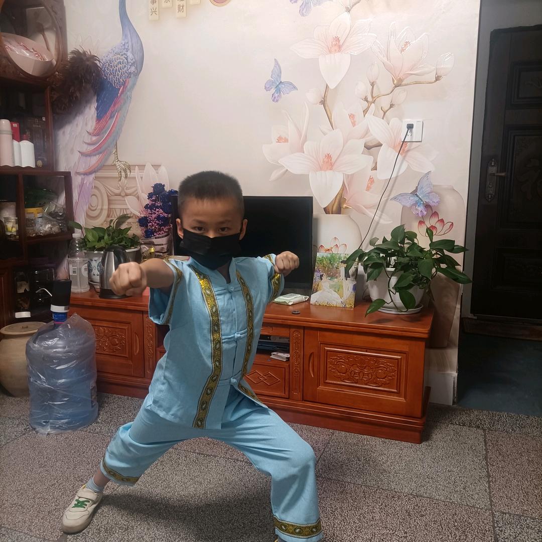 阳光下的枫叶