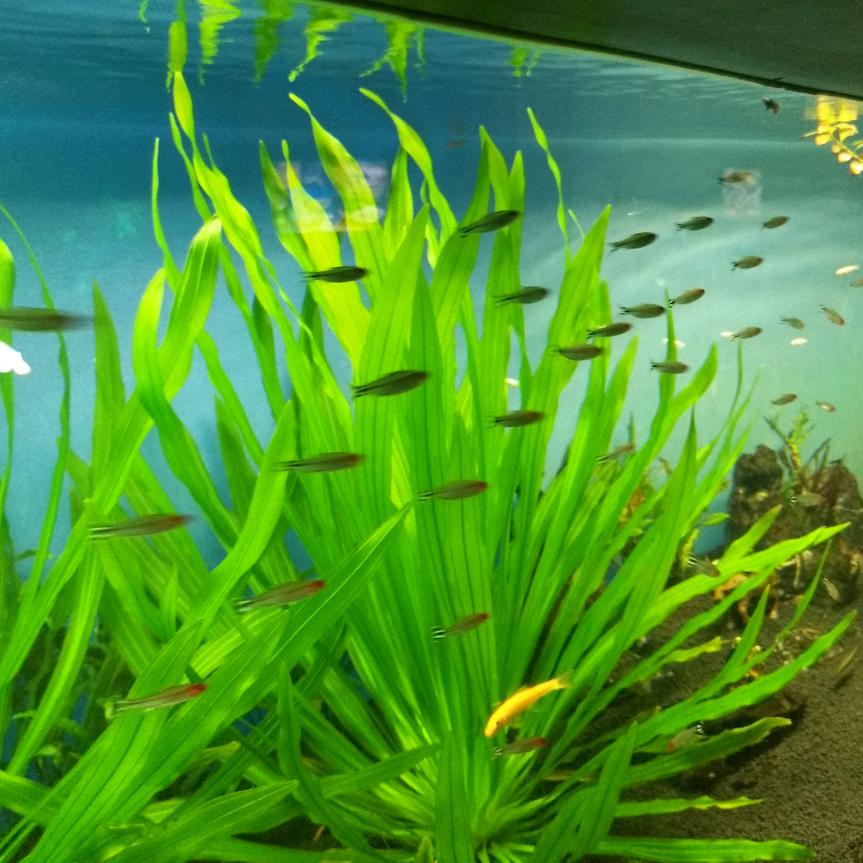 安平店休闲食品部