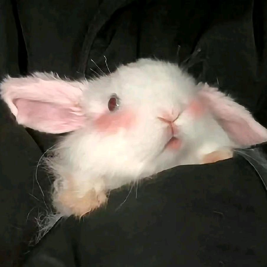 ww今天快乐了吗