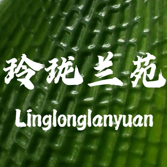 长春玲珑精品君子兰