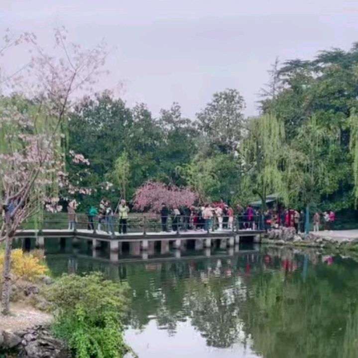 虹哥