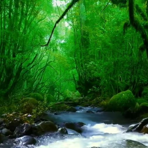 土地村综合市场姜蒜批发零售