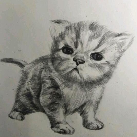 烈鹰