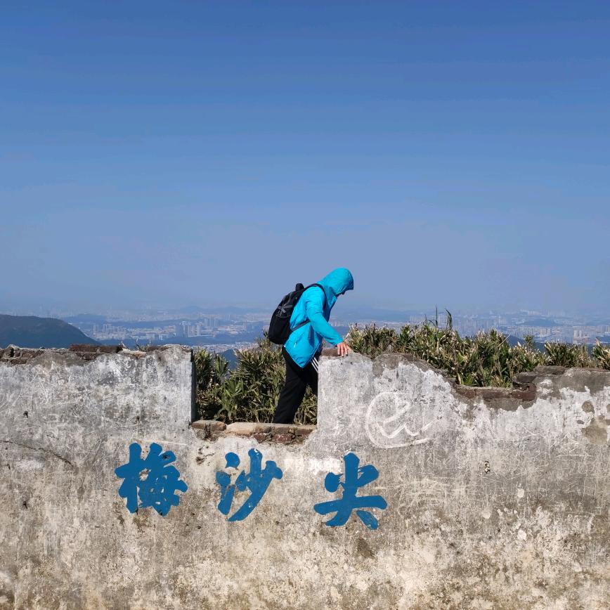 绝命秃师