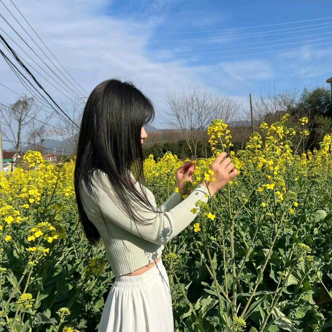 叮当的好物