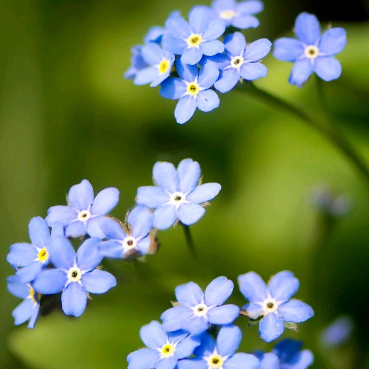 ℒøṽℯ🥀丽ꦿ᭄࿐