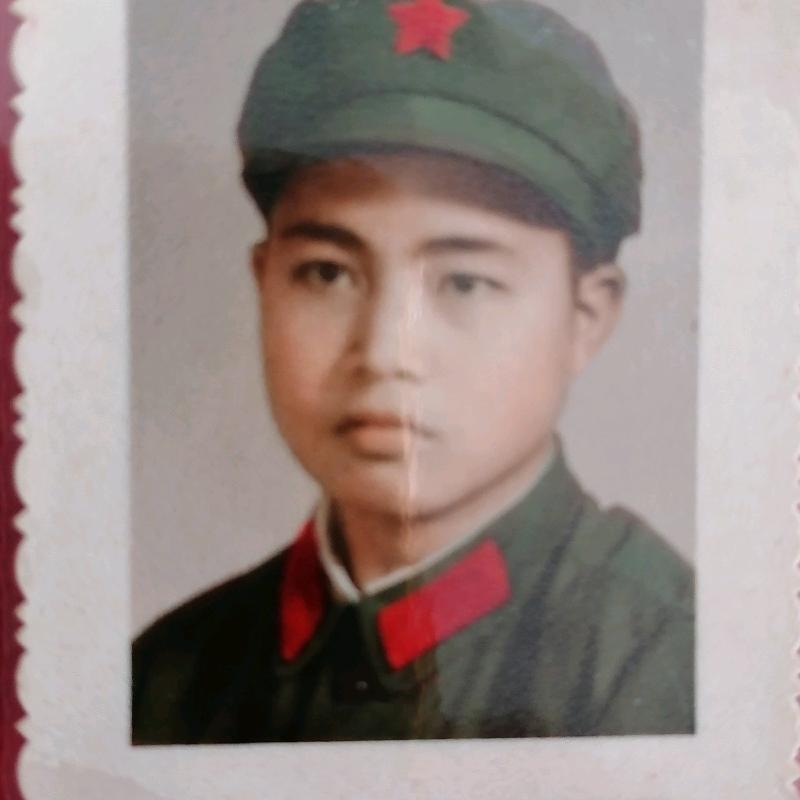 楷楷