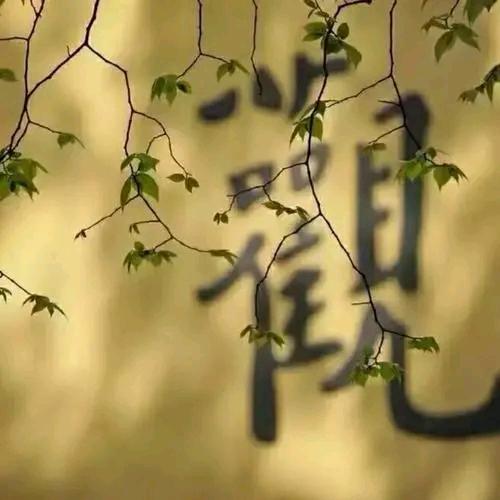 幸得一隅喝茶读书