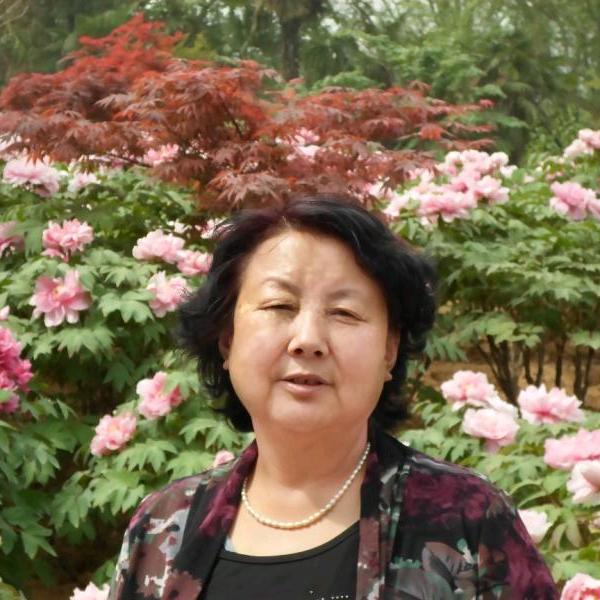 玉兰花(拒私聊)