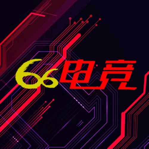 平南六六网咖店