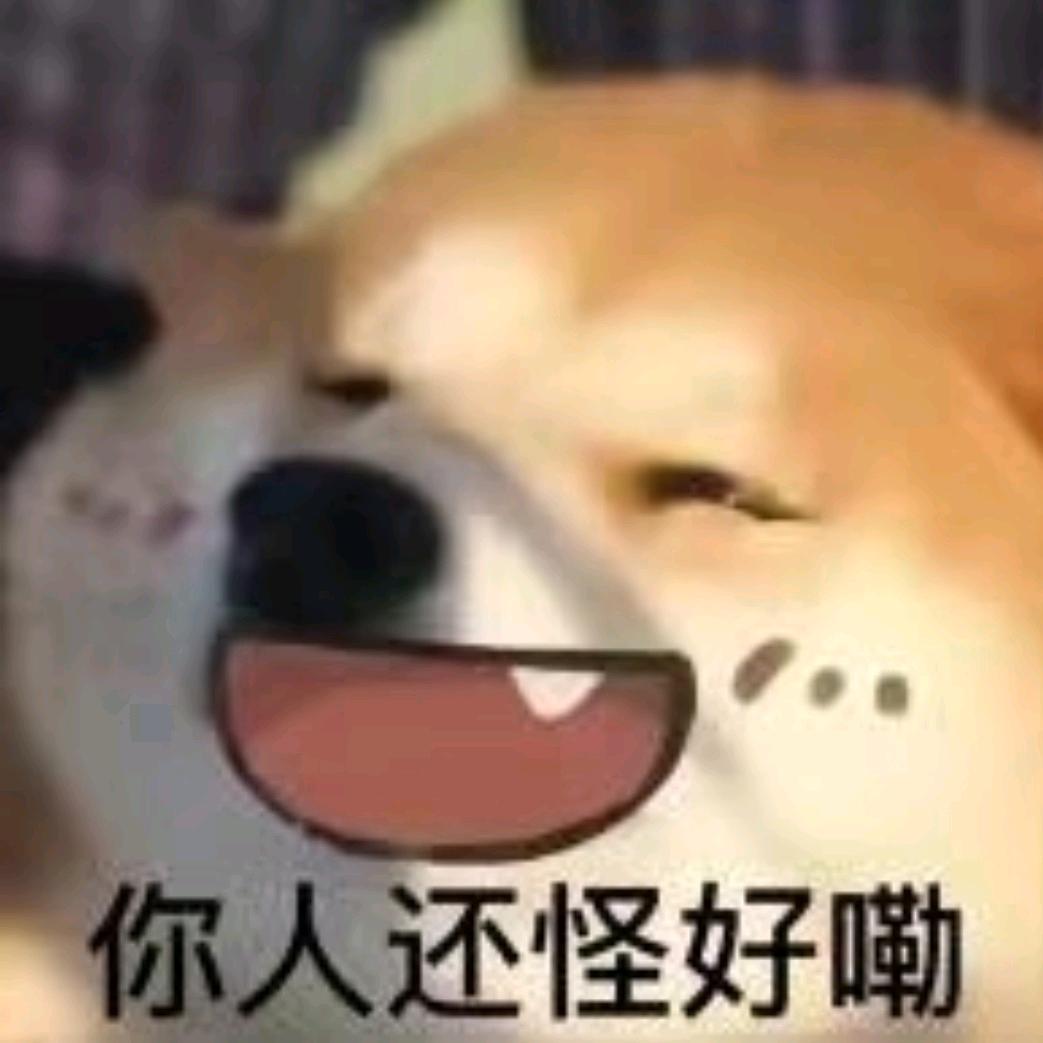 菜狗