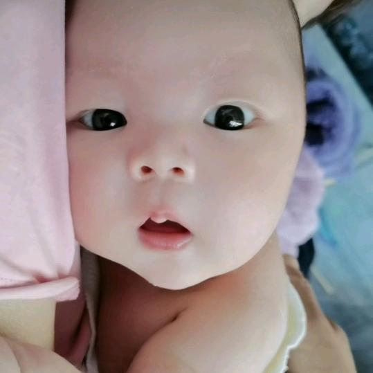 泓艺奶奶