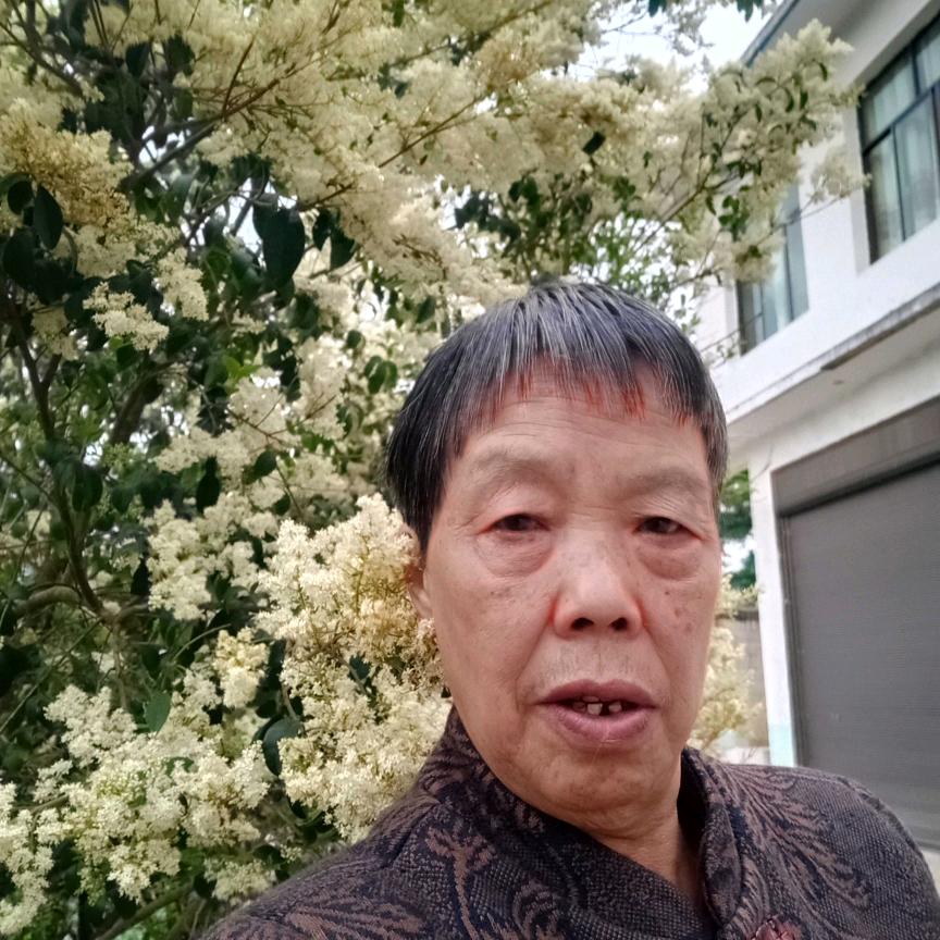 沒心沒肺，活着不累
