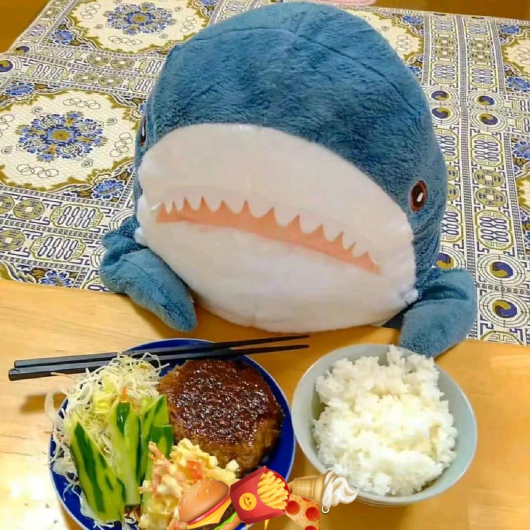 开飞机的舒克🍊