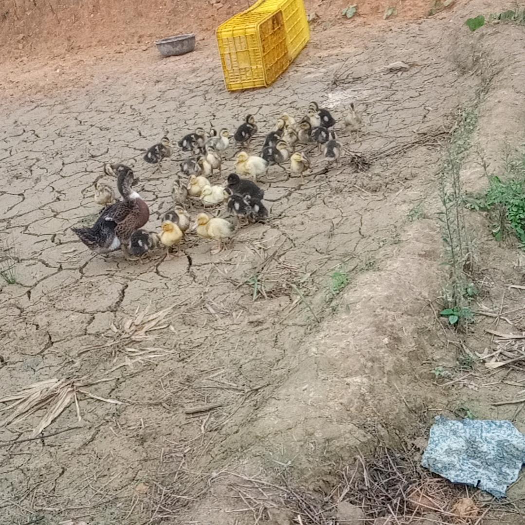 回心转意