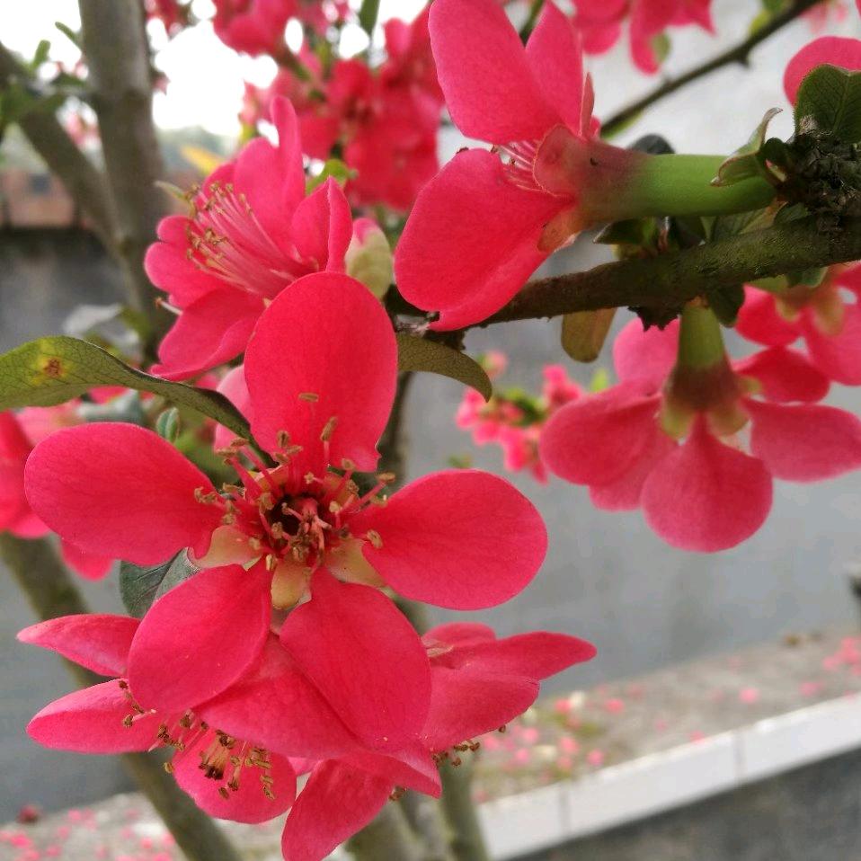 🧚‍♀️阳光