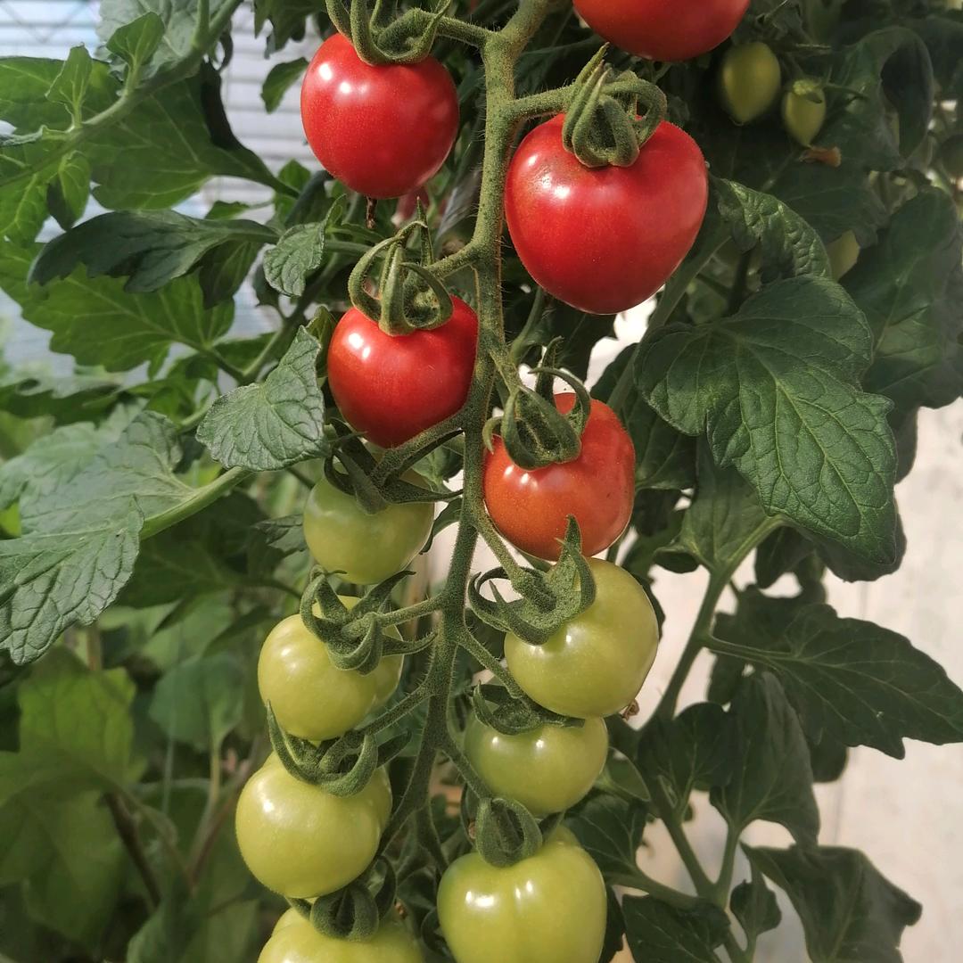 ღꕥ᭄ꦿএ沉默