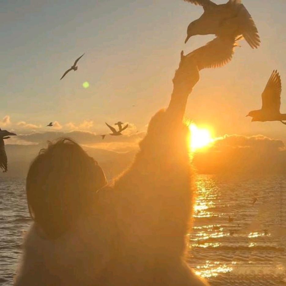 让风吹断未了的念想